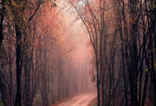 湖南主场，一场征服的交响曲：实力暴露无遗，荣耀由此绽放