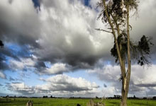 尤文图斯遗憾止步欧冠强赛事：斑马军团的失落与前瞻