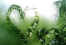 湖南主场，一场征服的交响曲：实力暴露无遗，荣耀由此绽放