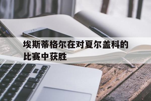 开云体育入口-埃斯蒂格尔在对夏尔盖科的比赛中获胜